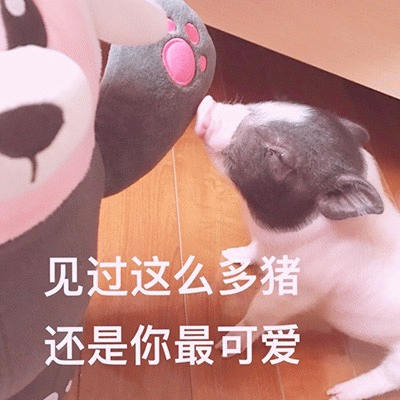 示例图片